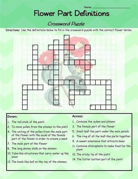 future flower crossword clue